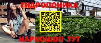 бутират Кингисепп