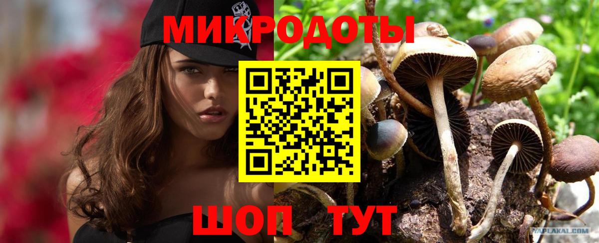 Псилоцибиновые грибы ЛСД Лесозаводск