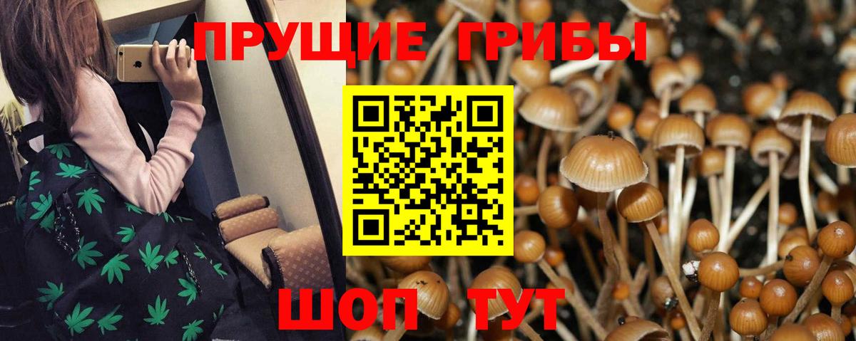 Псилоцибиновые грибы ЛСД  сколько стоит  Псилоцибиновые грибы Magic Shrooms  Лесозаводск  Вход с VPN 